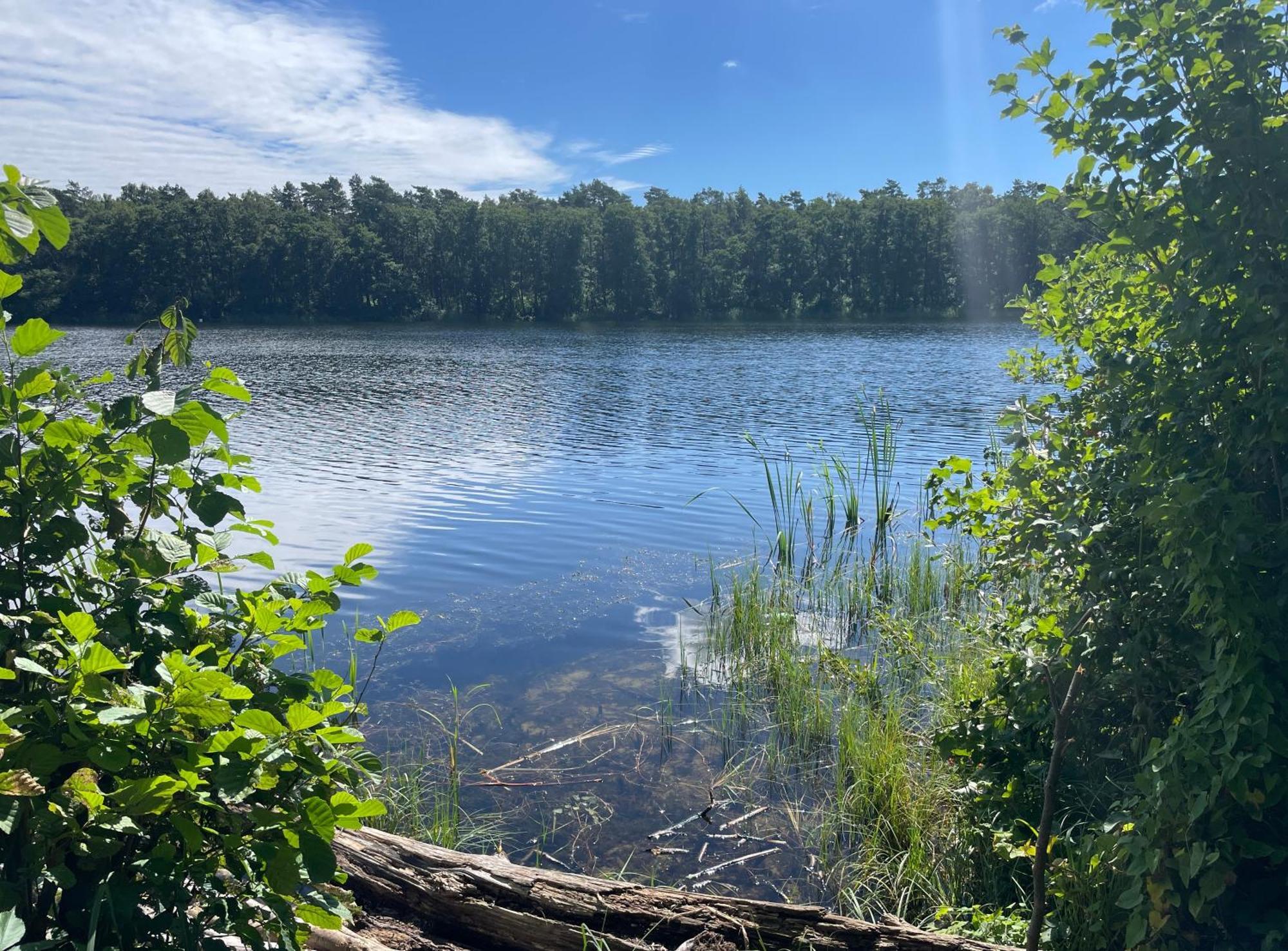 Ostseeperle - Pool, Sauna, 2 Bikes Dziwnów 외부 사진